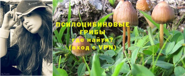 метадон Аркадак