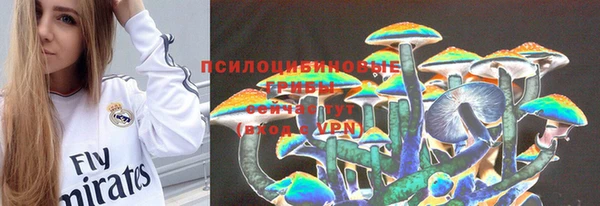 мяу мяу мука Арсеньев