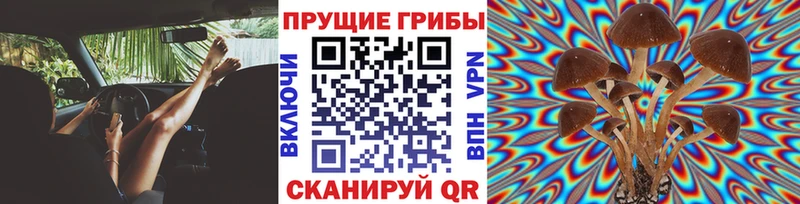 Псилоцибиновые грибы MAGIC MUSHROOMS Саки