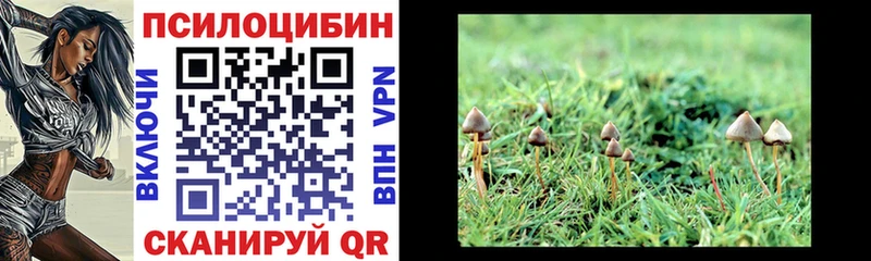 Псилоцибиновые грибы Cubensis  Саки 
